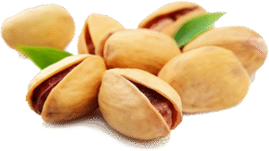 pistachios png picture