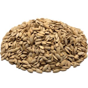 Salted Squash Seeds