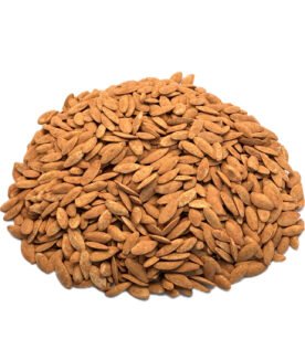 BBQ Squash Seeds
