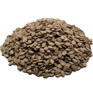 Palestinian Seeds Imbakhar