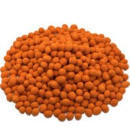image5 (2)