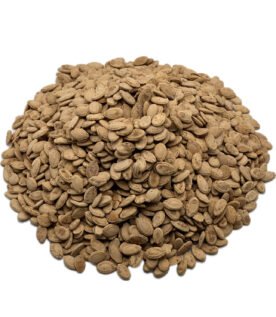 Salted Egyptian Seeds