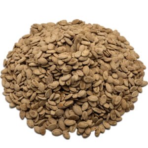 Salted Egyptian Seeds