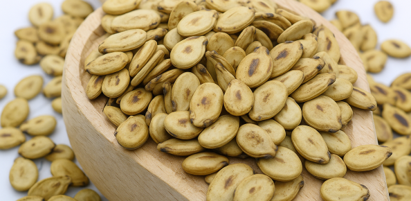 Palestinian Seed Abu Nugta